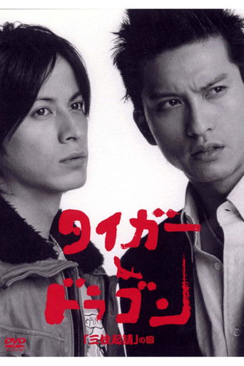 Tiger and Dragon poster