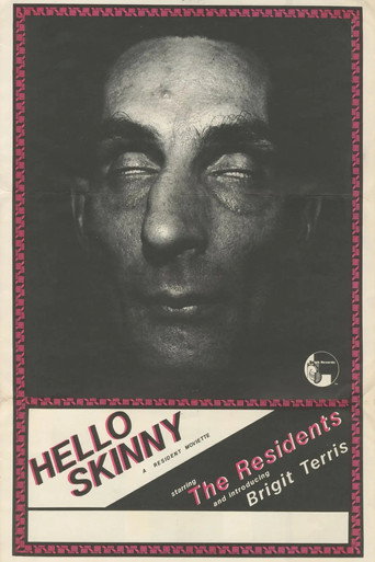 Movie poster for Hello Skinny