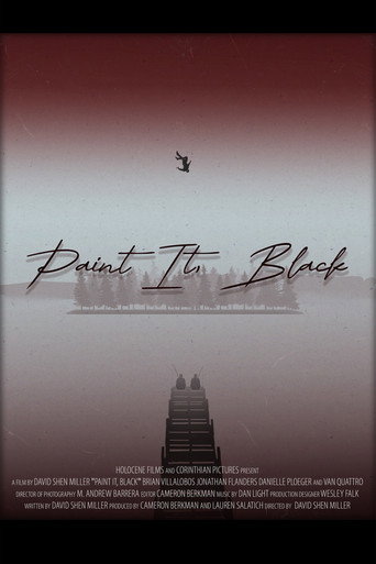 Movie poster for Paint it, Black