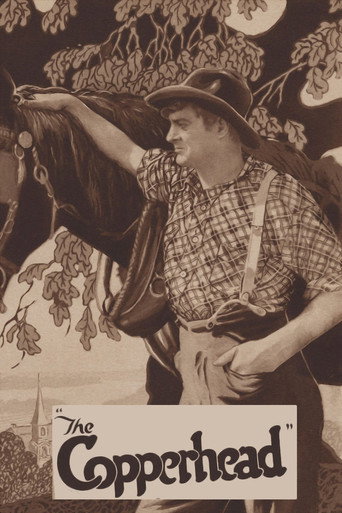 Movie poster for The Copperhead (1920)