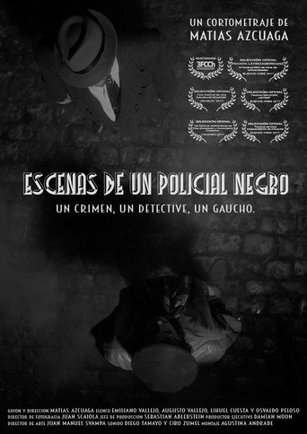Movie poster for Scenes from a film noir (2016)
