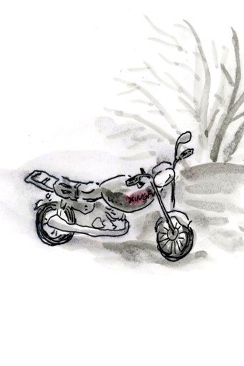 Movie poster for The Story of a Motorbike (2017)