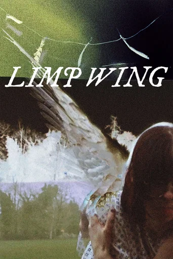 Movie poster for Limp Wing
