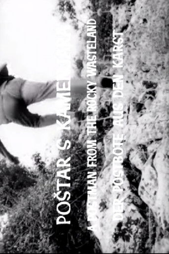 A Postman from the Rocky Wasteland poster