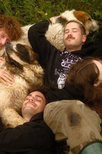 Movie poster for Animal Bridge - Every soul needs a home (2025)