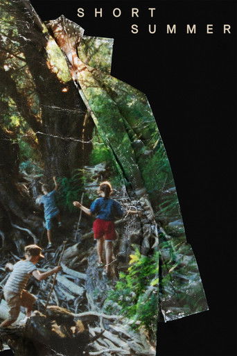 Short Summer poster