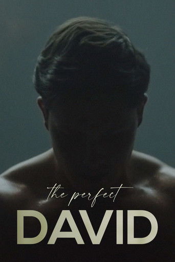 Movie poster for The Perfect David (2021)
