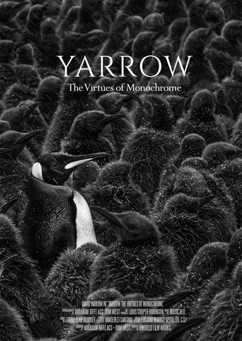 Movie poster for Yarrow: The Virtues of Monochrome (2019)