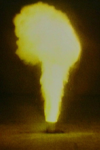Movie poster for Fire (1982)
