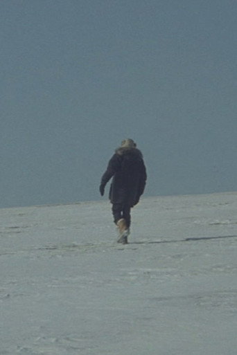 Movie poster for Une Histoire de Cheveux (Sibérie) (2021)