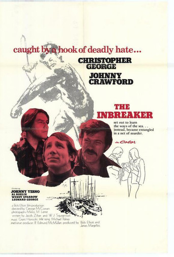 The inbreaker poster