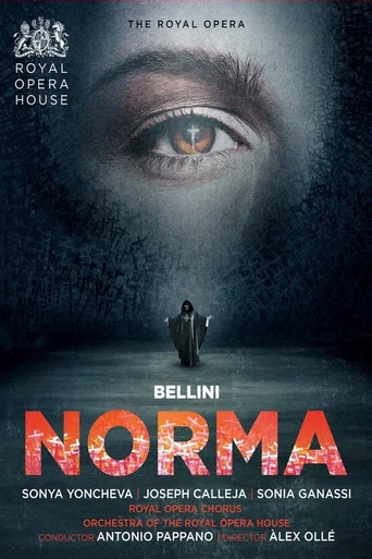 Movie poster for Bellini: Norma (2016)