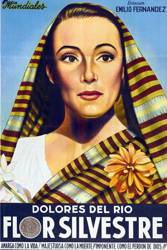 Movie poster for Wild Flower (1943)