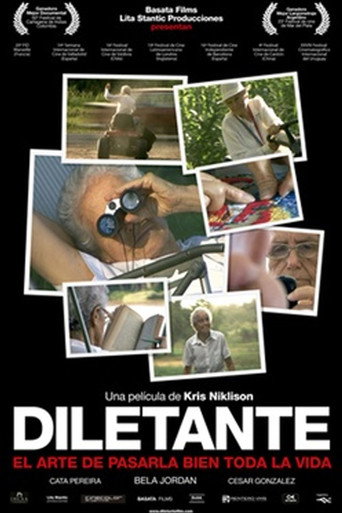 Diletante poster
