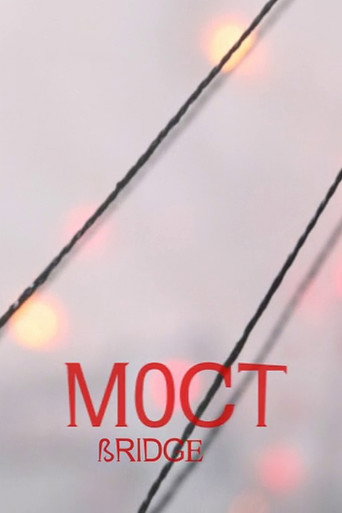 Movie poster for Bridge (2009)