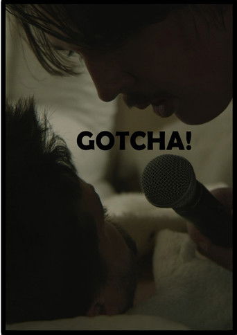 Gotcha! poster