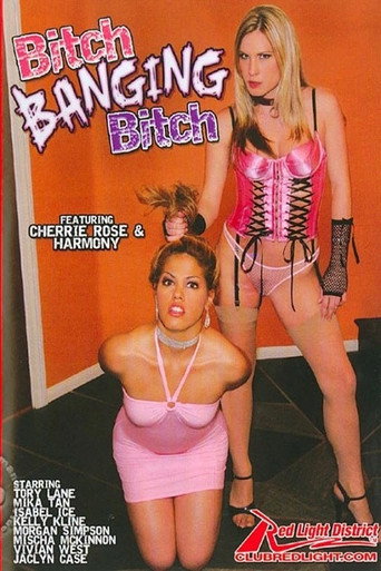 Movie poster for Bitch Banging Bitch (2006)
