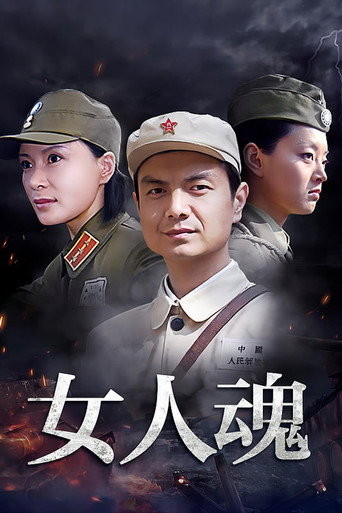 Series poster for 女人魂 (2008)