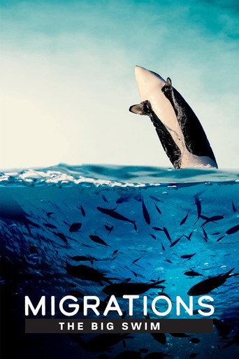Movie poster for Migrations: The Big Swim (2020)