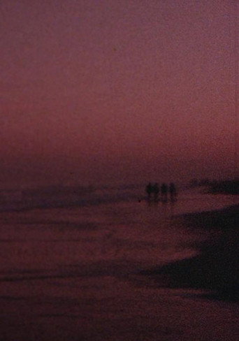 Movie poster for Through the Ruins (1982)