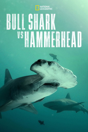 Movie poster for Bull Shark vs. Hammerhead (2023)