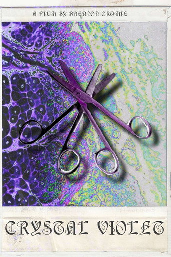Movie poster for Crystal Violet (2024)