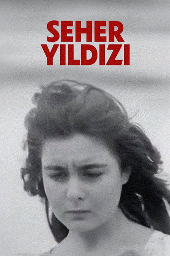 Movie poster for Seher Yıldızı (1959)