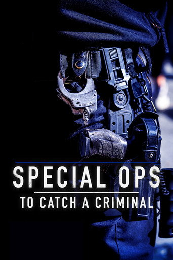 Series poster for Special Ops: To Catch A Criminal (2025)