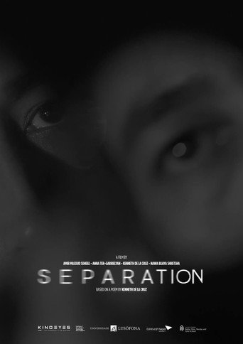 Movie poster for Separation (2025)