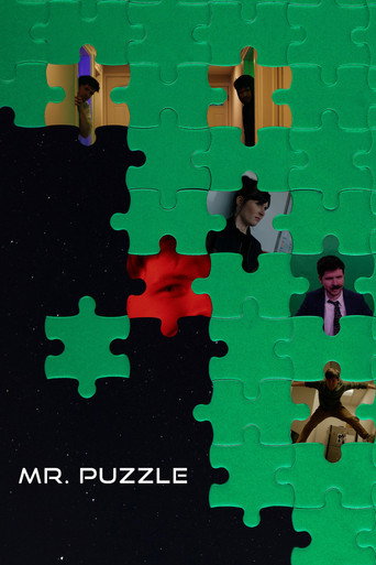 Movie poster for Mr. Puzzle (2026)