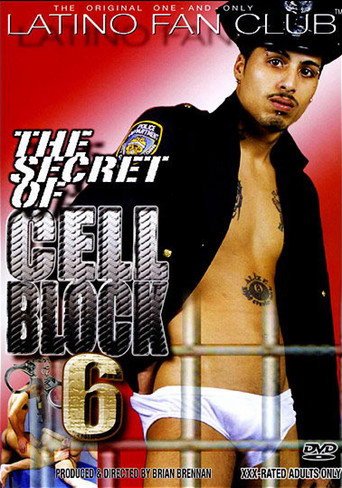 Movie poster for The Secret of Cell Block 6 (2008)