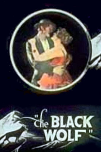 Movie poster for The Black Wolf (1917)