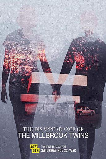 The Disappearance of the Millbrook Twins poster