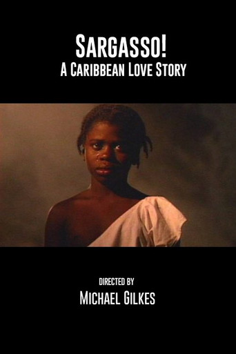 Movie poster for Sargasso: A Caribbean Love Story (1991)