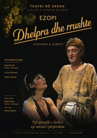 Movie poster for Dhelpra dhe rrushte (1991)
