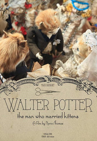 Walter Potter: The Man Who Married Kittens poster