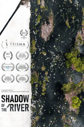 Movie poster for Shadow of the River (2022)