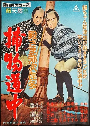 Movie poster for Diary of a Wandering Lord (1959)