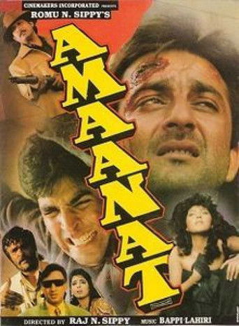 Movie poster for Amaanat (1994)