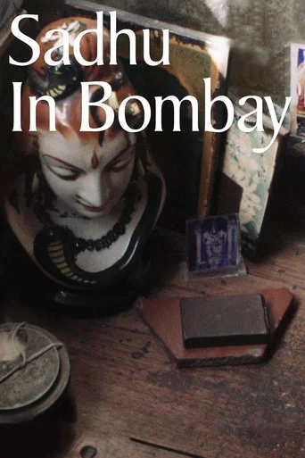 Movie poster for Sadhu in Bombay (2017)