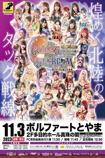 Movie poster for Stardom 13th Goddesses of Stardom Tag League in Toyama (2023)