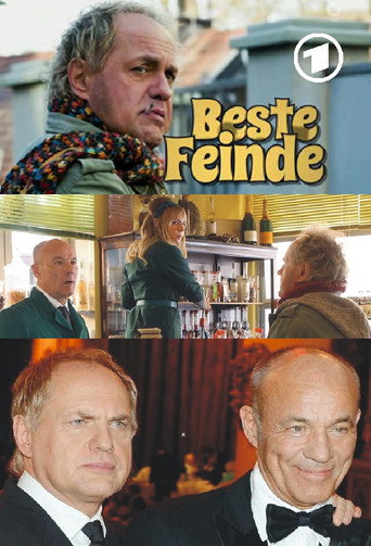 Beste Feinde poster