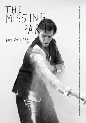 Movie poster for The Missing Part (2015)