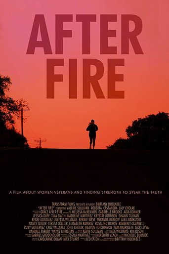 Movie poster for After Fire (2016)
