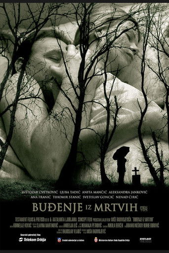 Awakening from the Dead poster