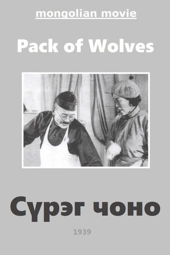 Movie poster for Pack of Wolves (1939)