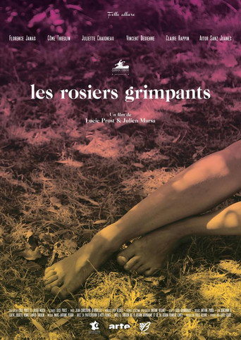 Movie poster for The Climbing Roses (2016)
