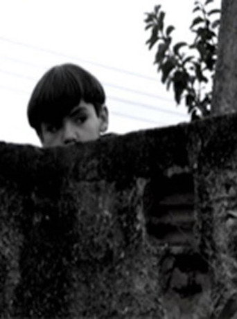 Movie poster for O Muro (2009)