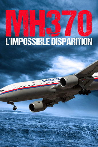 Good Night MH370 poster
