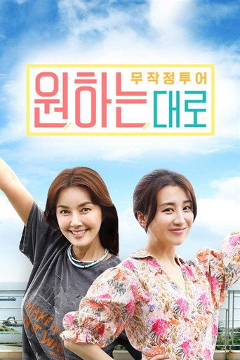 Reckless Tour: Whatever You Want poster